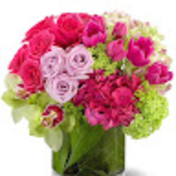 Meet your Posher, Cori - Picture 1 of 1